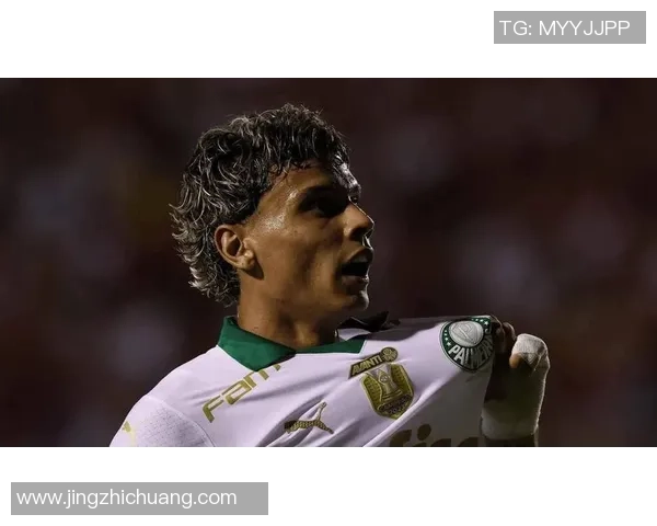 帕尔梅拉斯与瓦斯科达伽马激战正酣谁将赢得这场巴西足球盛宴